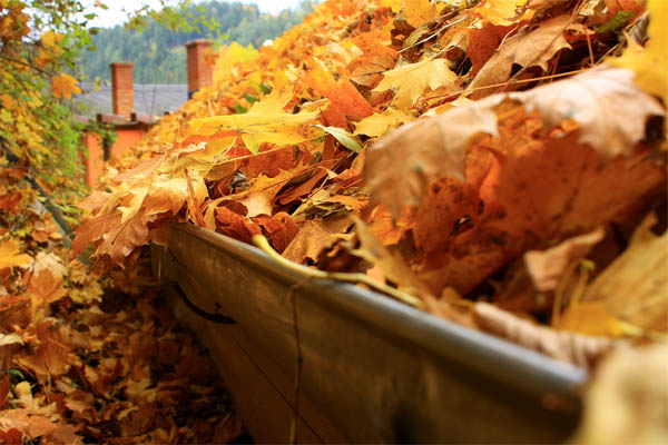 cleaning gutters