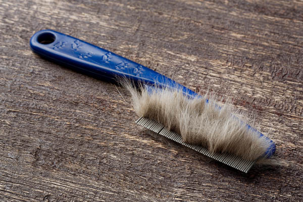 image of a comb with pet fur and reducing air particulates