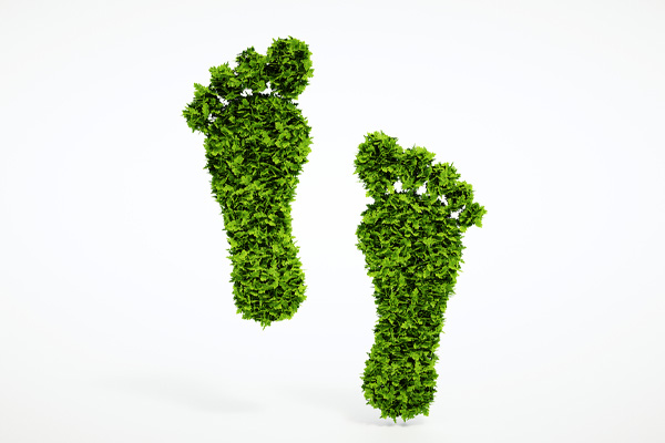image of a green leafy foot depicting a carbon footprint
