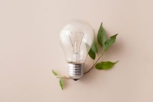 image of light bulb depicting green energy