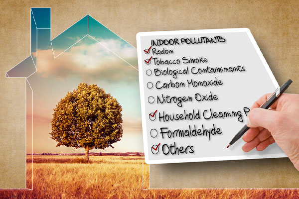 image of list of indoor air pollutants
