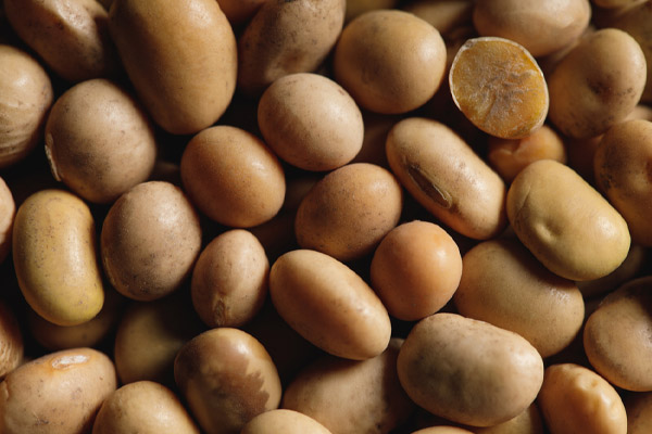 image of soy used for home heating oil