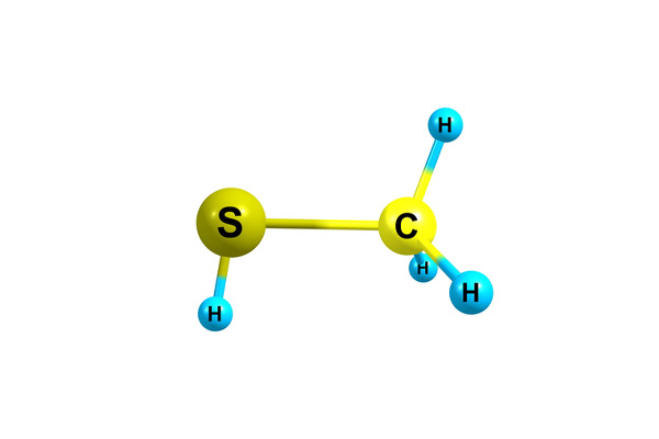 Methyl mercaptan depicting natural gas leak