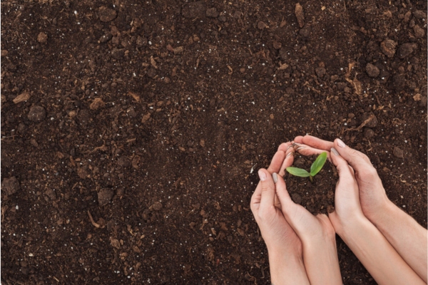 couple's hands holding soil with sprout depicting environmental advantages