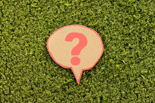 question mark on a cutout cardboard on a grass depicting Air Conditioning Sickness FAQs