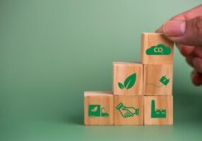 hand holding wooden cubes with icons including C02